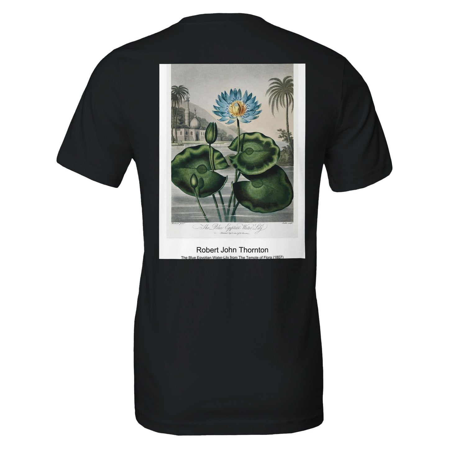 a073b747-3a5f-41cc-95d4-bf589f797268