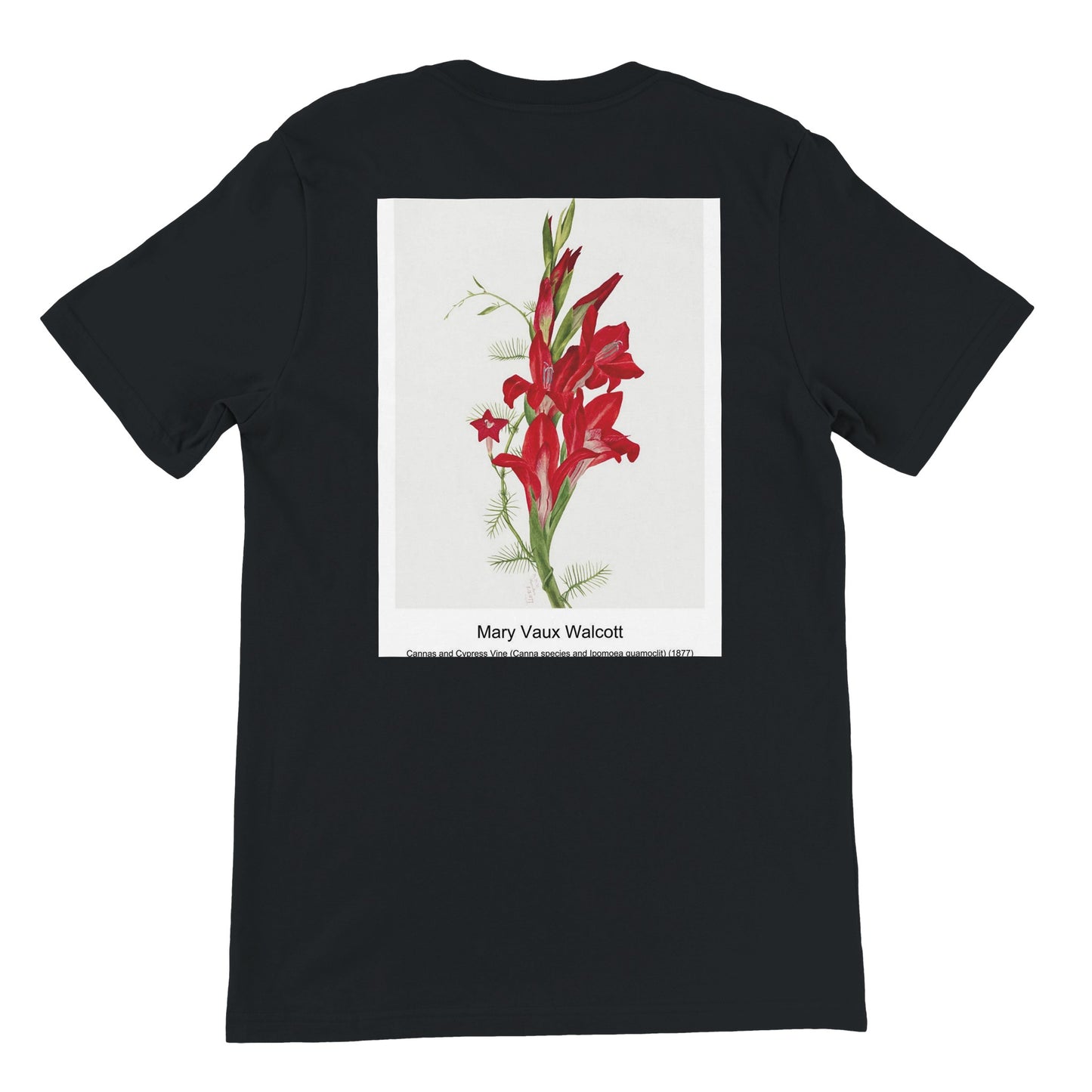 a2626189-52e7-4f93-bee4-2d178686058d