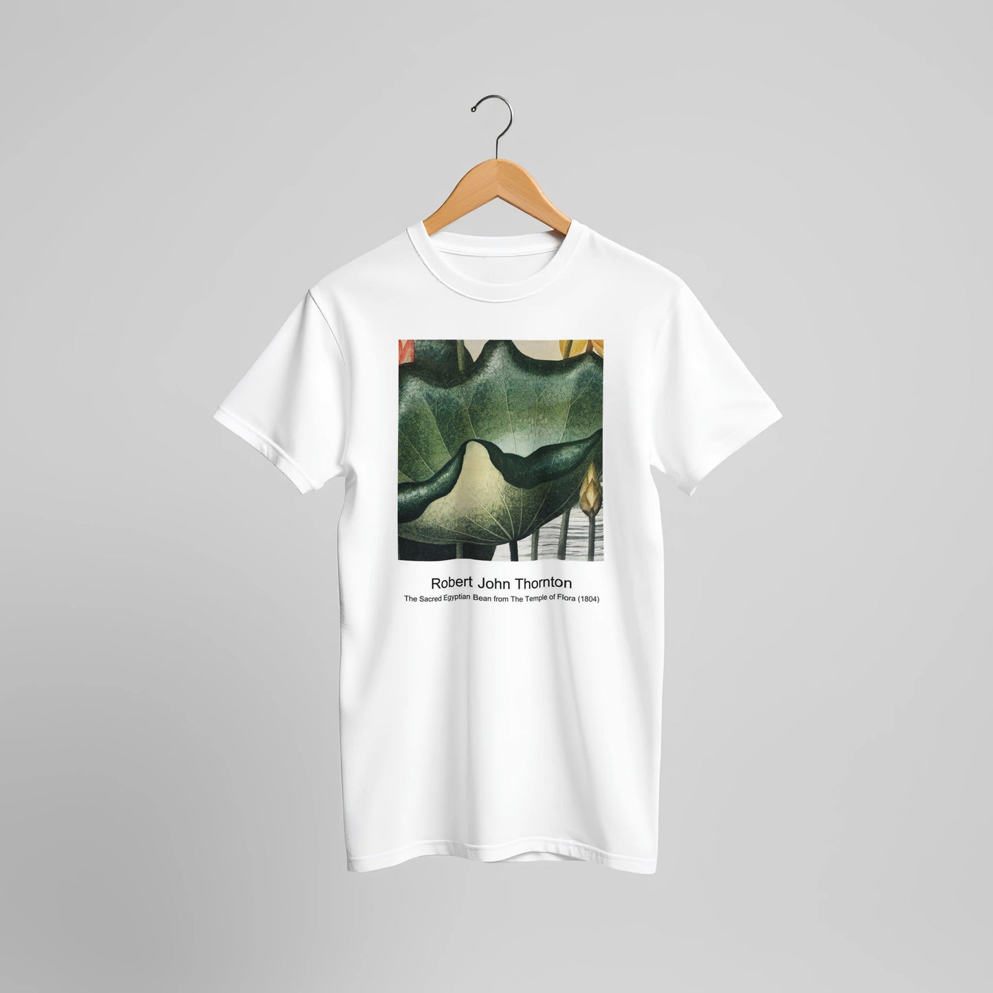 a2d8ed6e-6d4d-49af-8a19-47bc7e6424a6