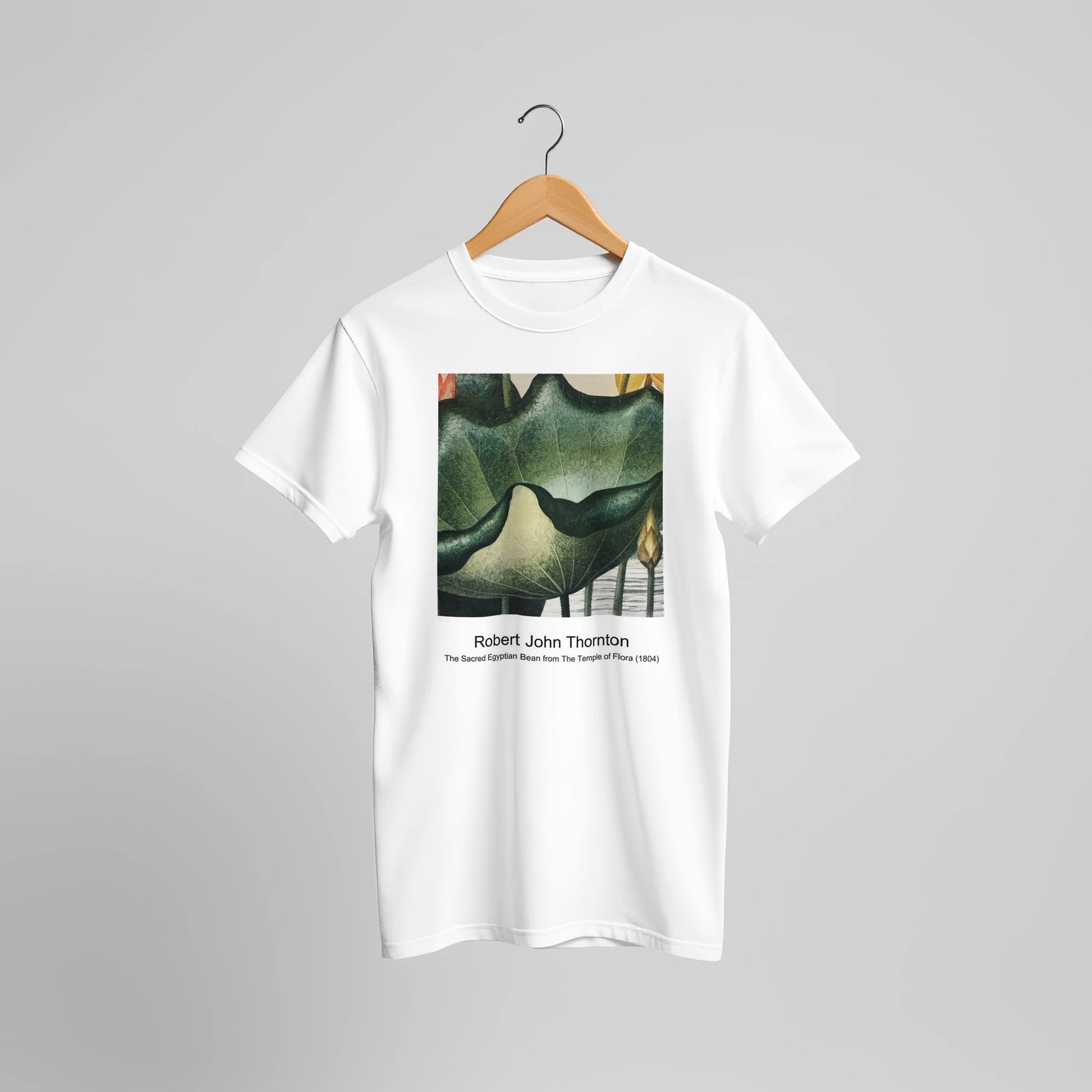 a2d8ed6e-6d4d-49af-8a19-47bc7e6424a6