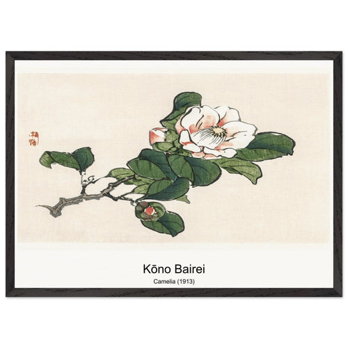 Camelia (1913) by Kōno Bairei. Archival Print on Museum Quality Matte Paper. Premium Wood Framed Wall Art. Optimised Aspect Ratio.