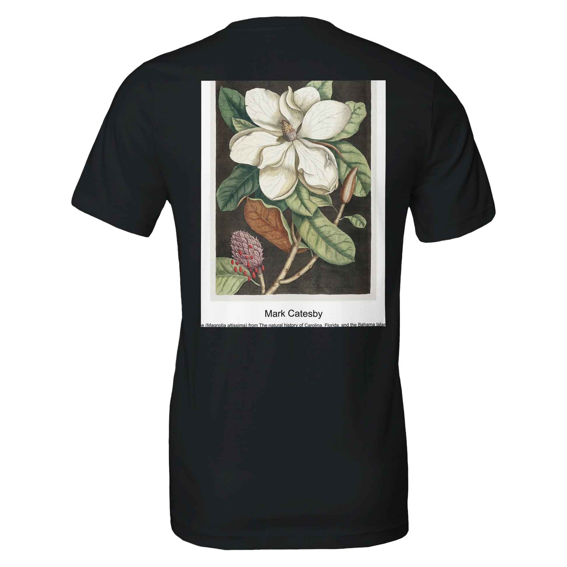 a4336368-c040-4281-8da7-f9b37a869fd7