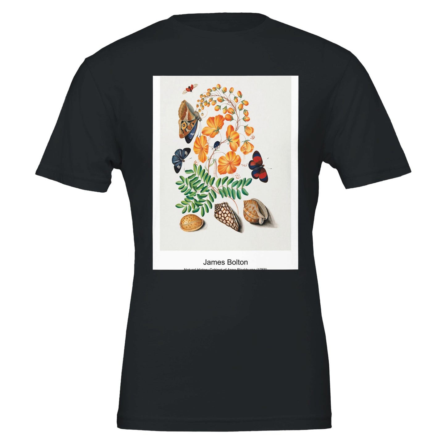 a47f8a52-53c5-4e38-9db0-6afeac4b19ab