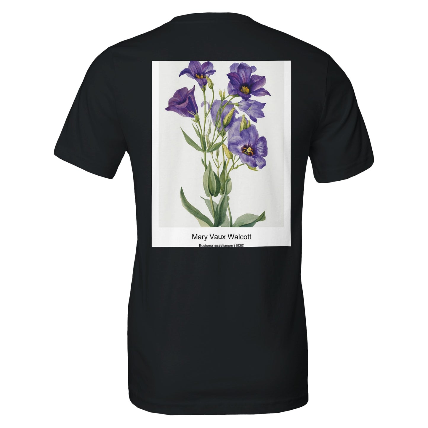 a48320ef-b151-440e-9e5e-0e3faa888f71