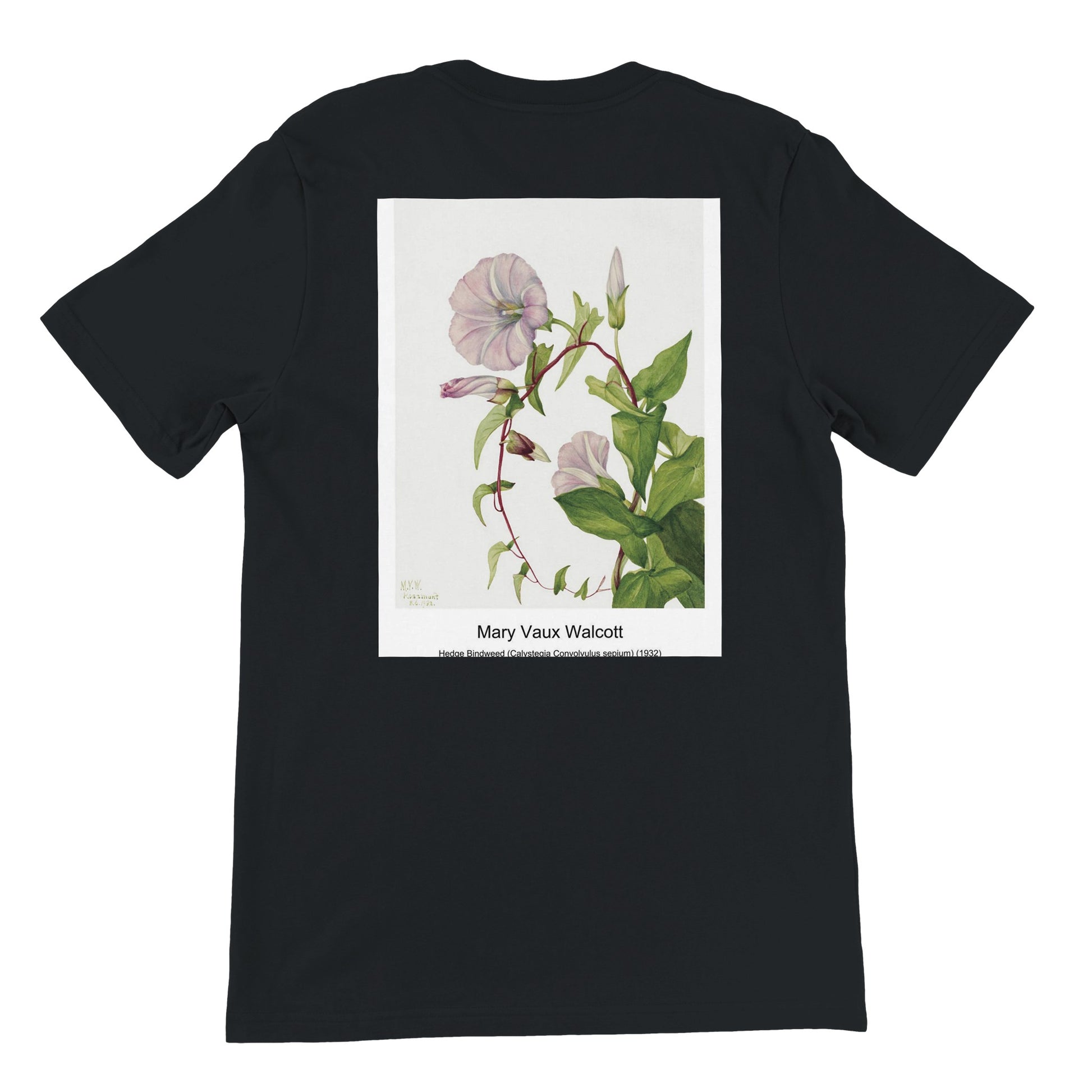 a4aa9abf-2644-42d7-a478-f118d4eb95ac