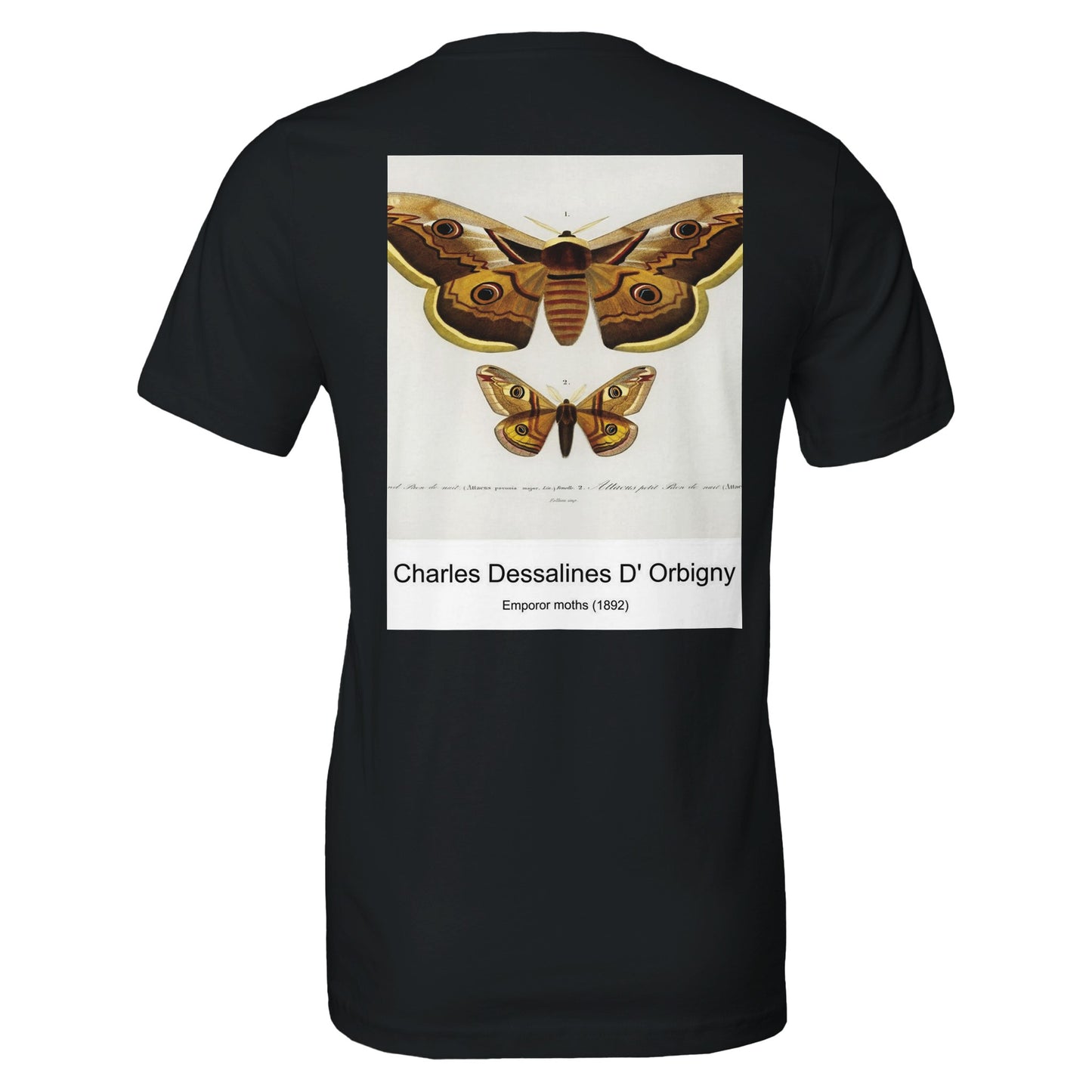 a4bfe636-499b-45d1-8515-0065501d4259