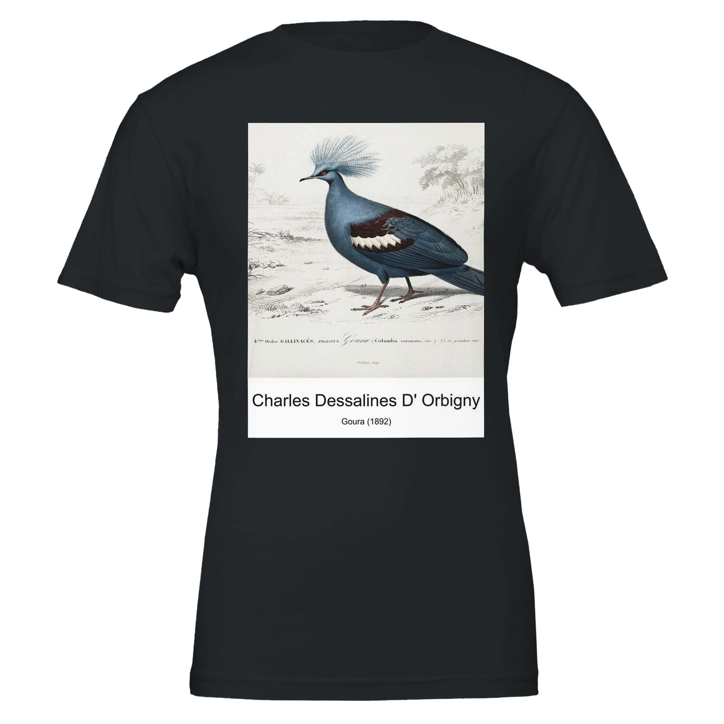 a5fe4ed1-9b79-4f50-84fd-bfc88a5bb123