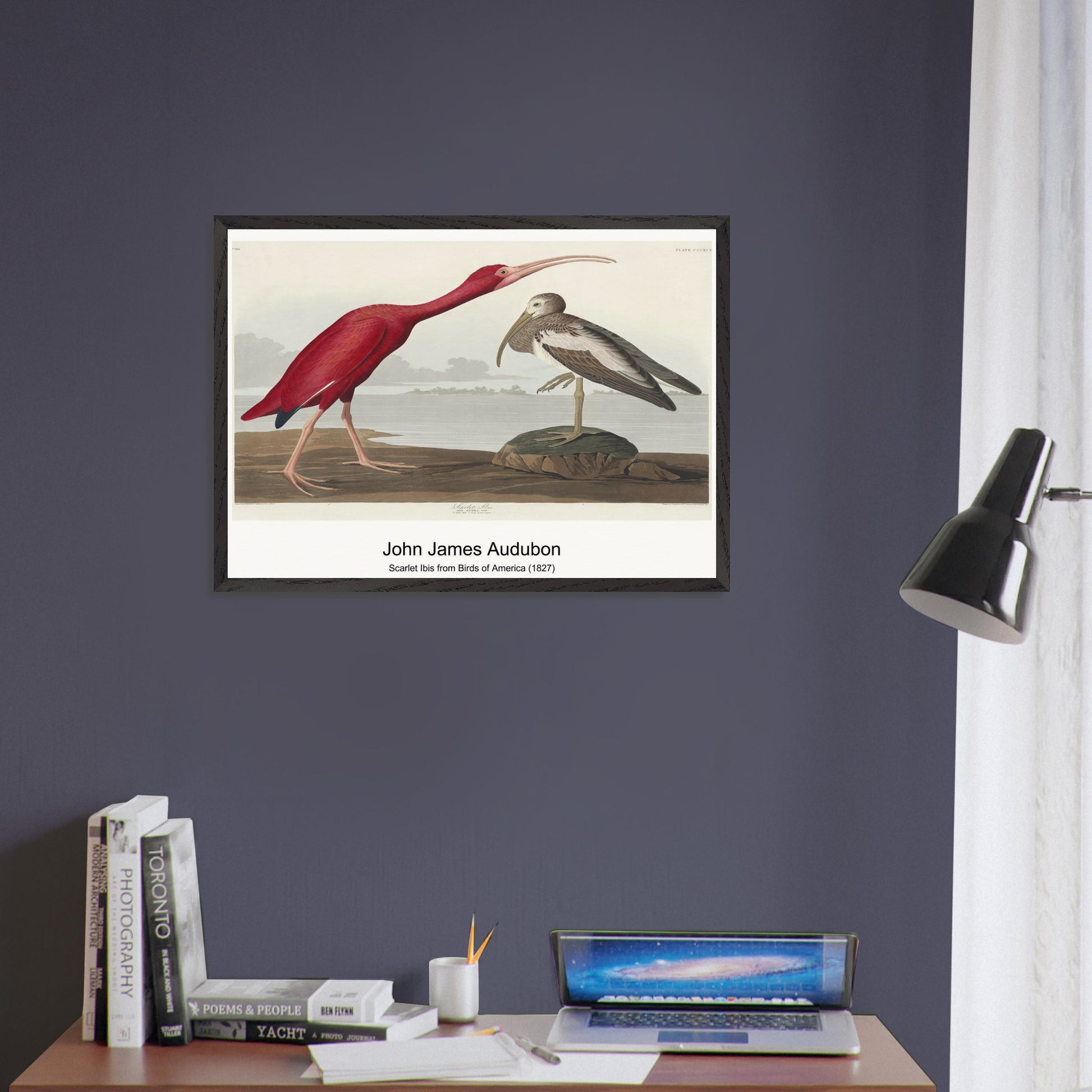 a6381fc9-3a46-4751-803c-0d84c4ecef20