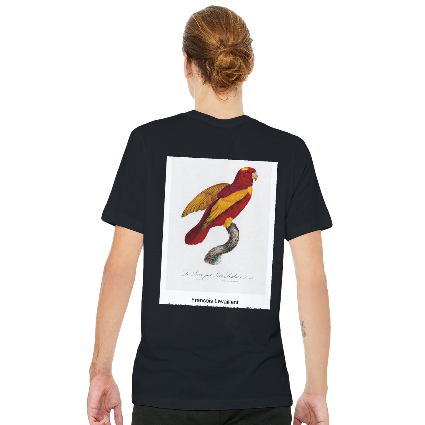 a640a656-0614-4cfe-ae76-3d7fda00e057