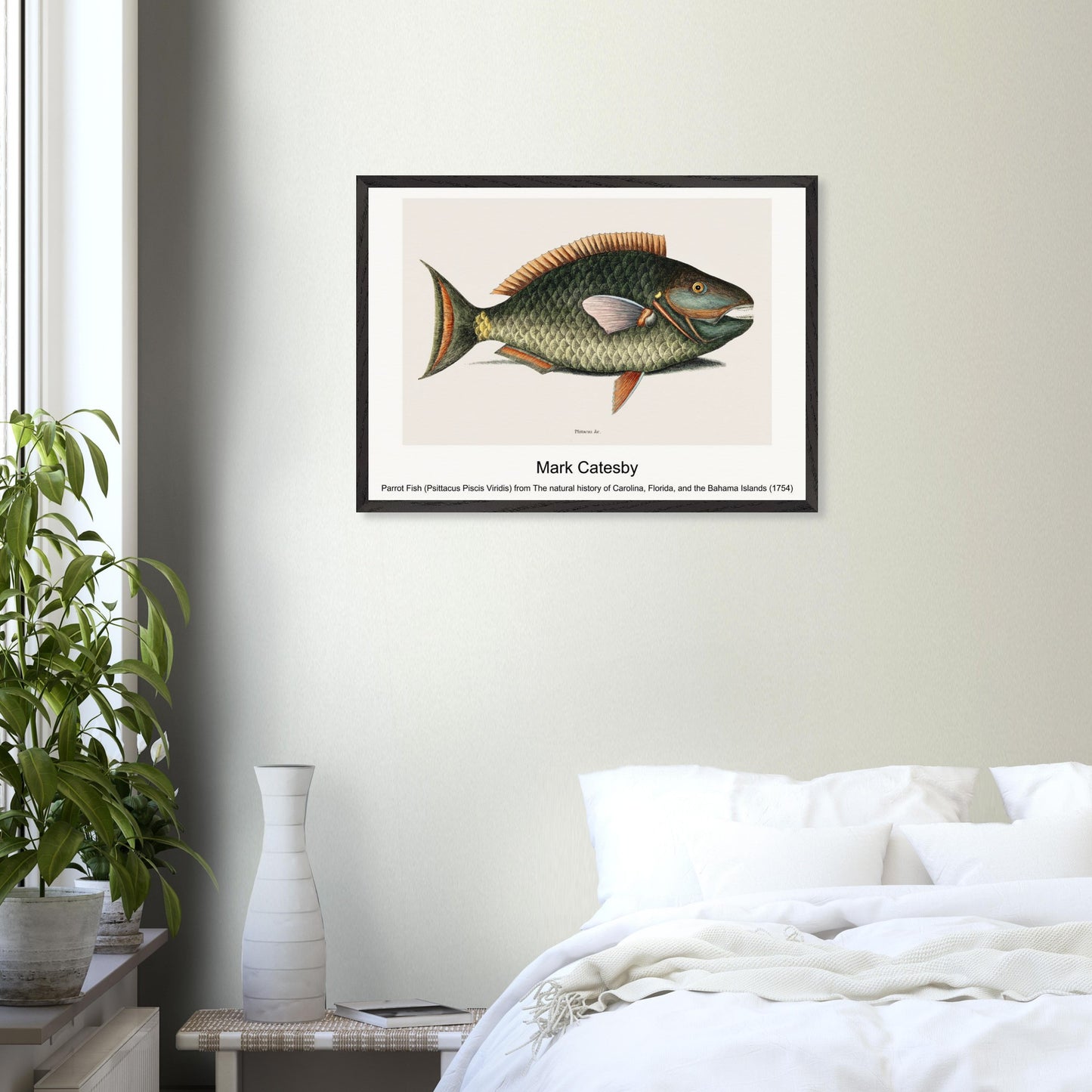 a647df6a-464e-4cfd-a38a-b4b28cc83644