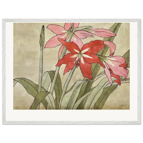 Amaryllis (1915) by Hannah Borger Overbeck. Archival Print on Museum Quality Matte Paper. Premium Wood Framed Wall Art. Original Aspect Ratio
