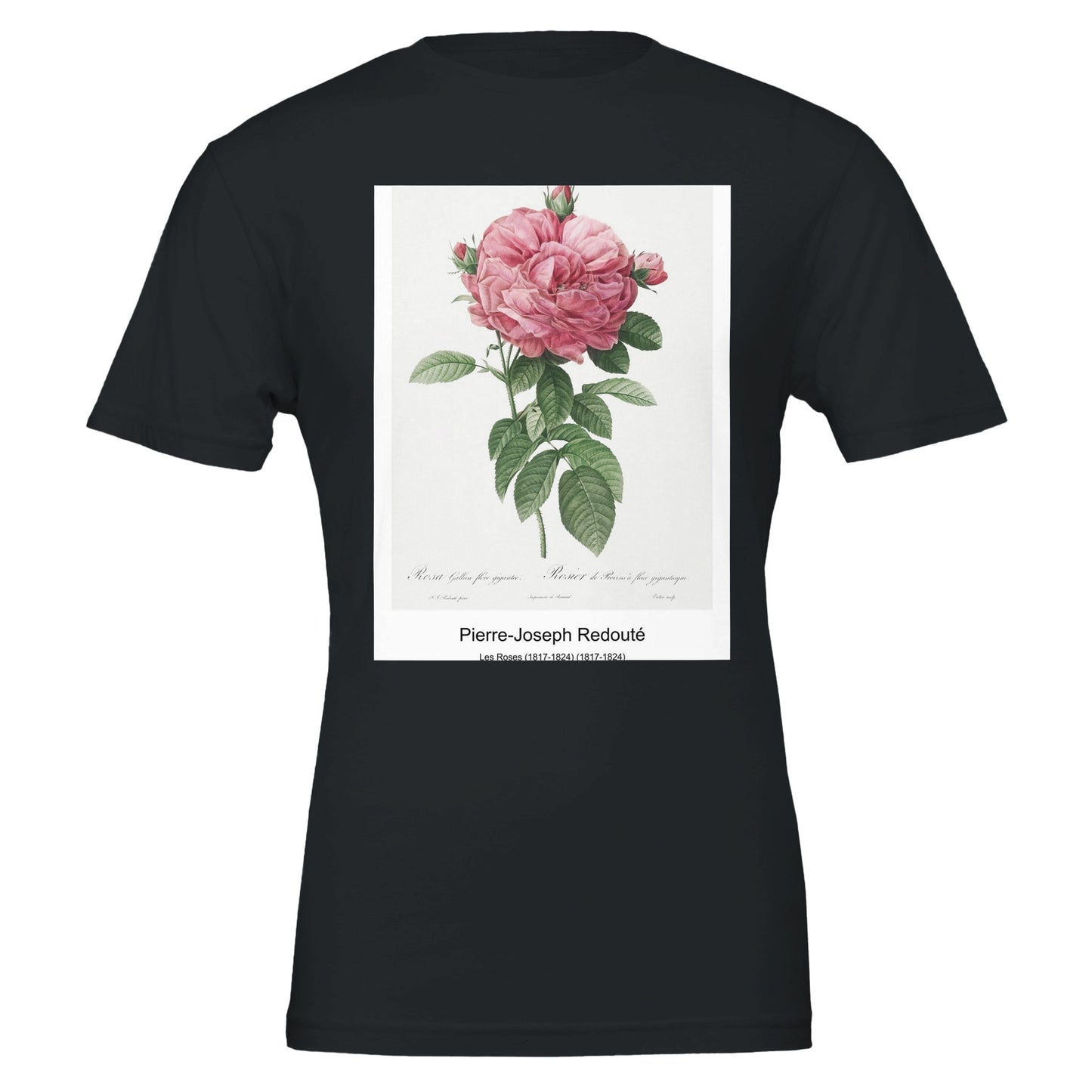 a7672791-308b-4e30-b648-915d3f67822e