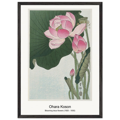 Flycatchers on a nandina bush (1925 - 1936) by Ohara Koson. Archival Print on Museum Quality Matte Paper. Premium Wood Framed Wall Art. Original Aspect Ratio