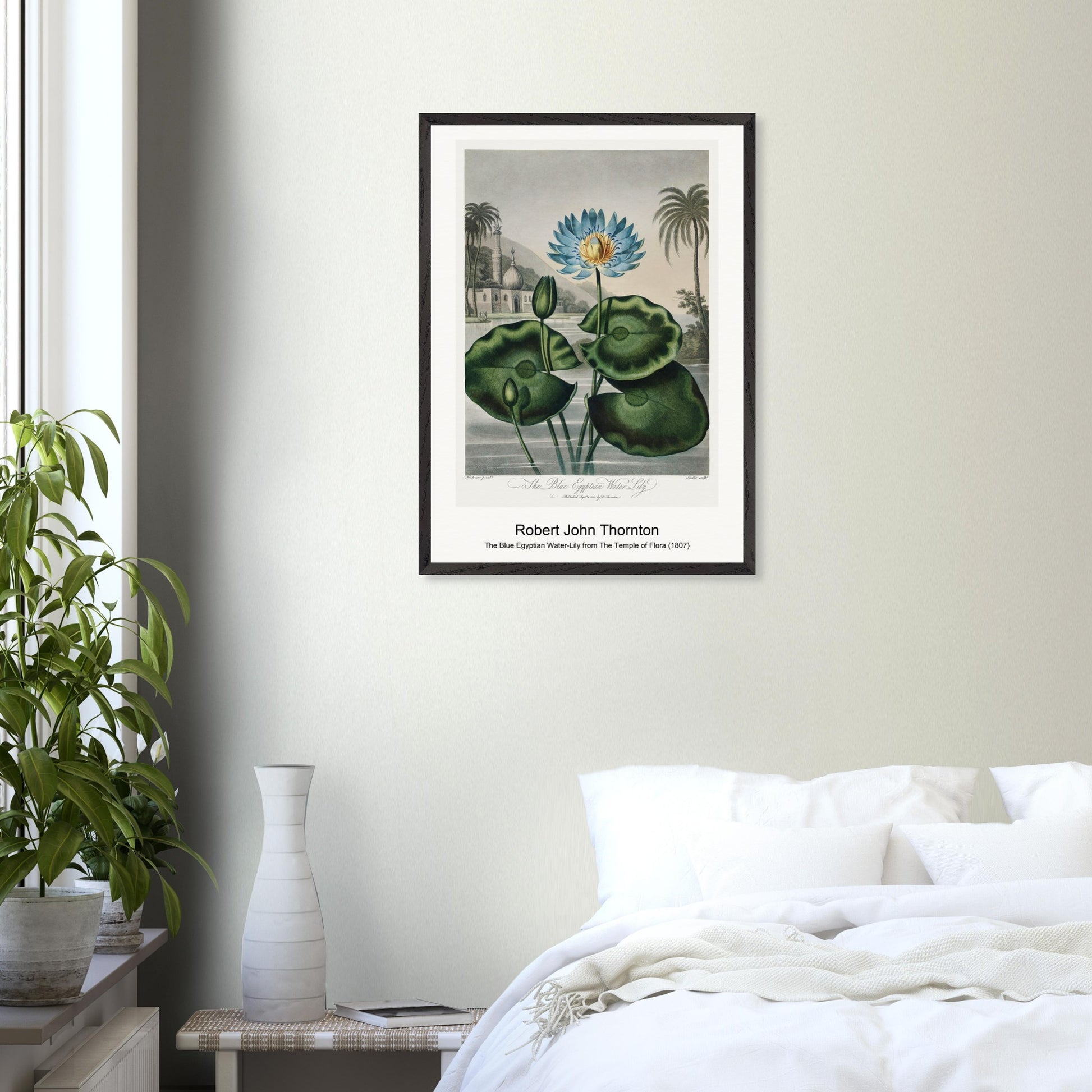 a7973e2c-d9e5-4e57-859c-eadbb8aa26a4