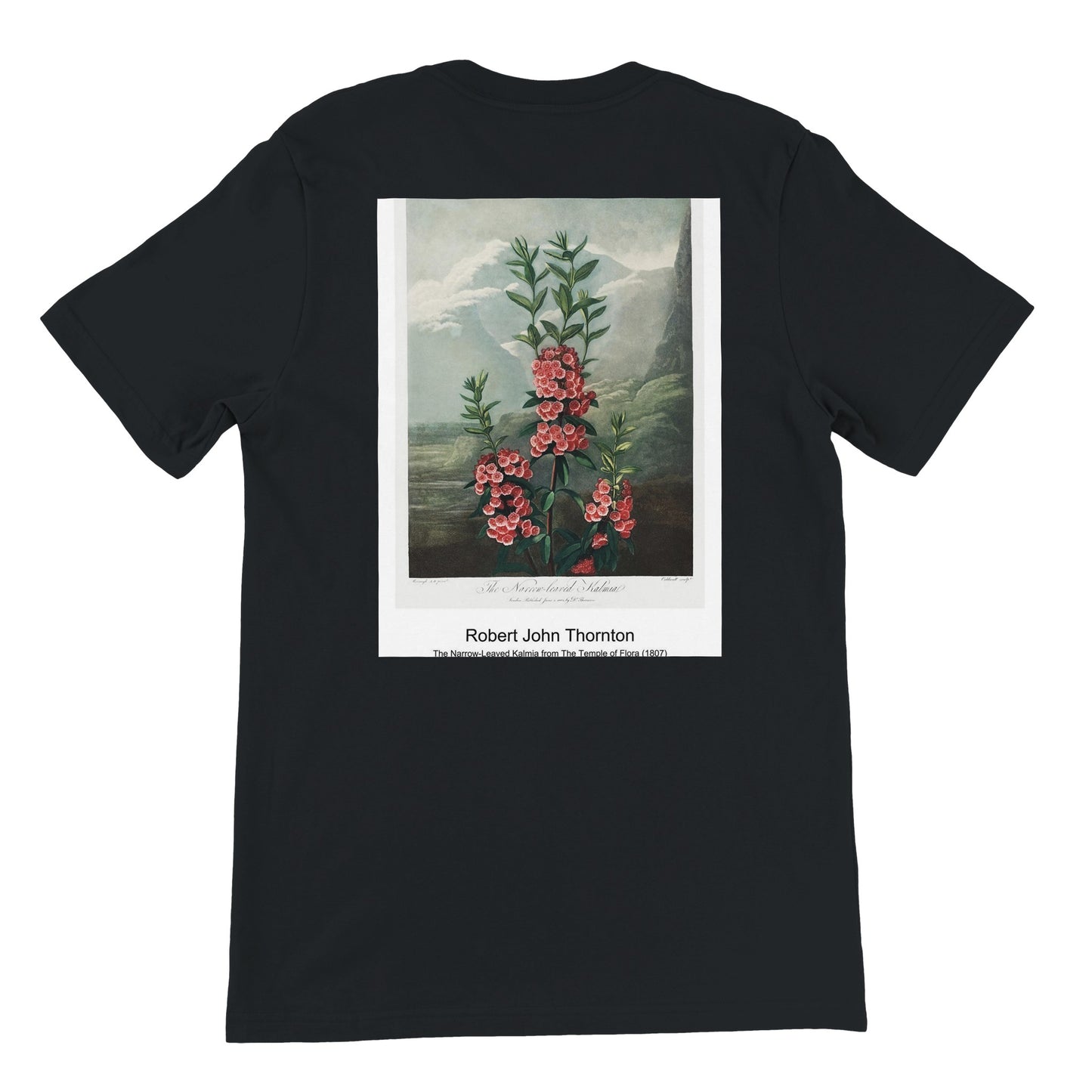 a7a05293-6df7-4b8b-9a64-67c75c675751