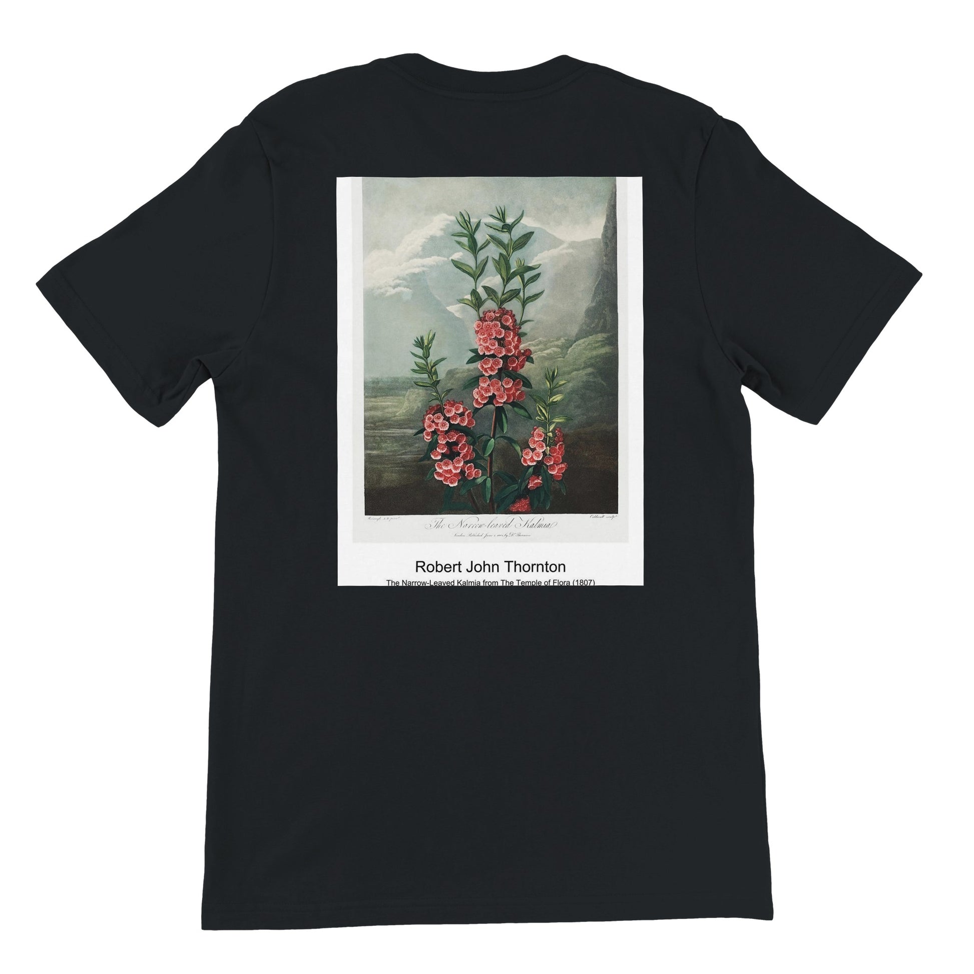 a7a05293-6df7-4b8b-9a64-67c75c675751