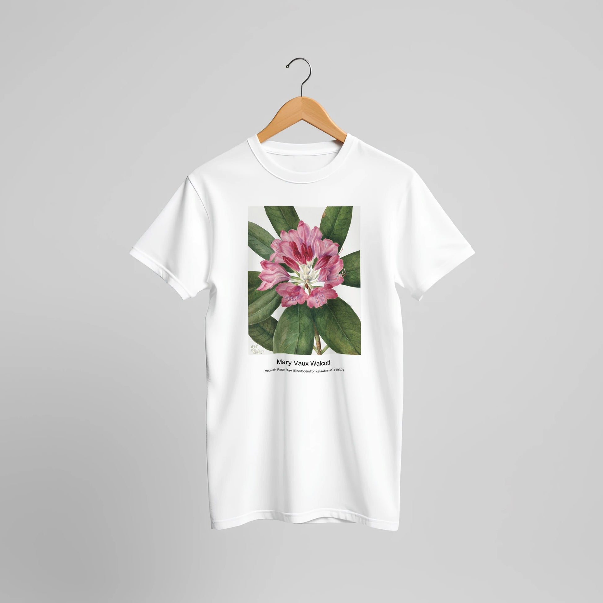 a7a1c8f1-abbe-41af-815e-8a628fa5f593