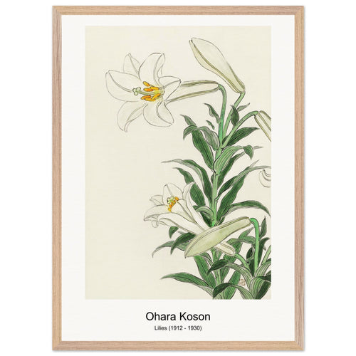 Lilies (1912 - 1930) by Ohara Koson. Archival Print on Museum Quality Matte Paper. Premium Wood Framed Wall Art. Original Aspect Ratio