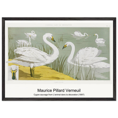 Cygne sauvage from L'animal dans la décoration (1897) by Maurice Pillard Verneuil. Archival Print on Museum Quality Matte Paper. Premium Wood Framed Wall Art. Optimised Aspect Ratio.