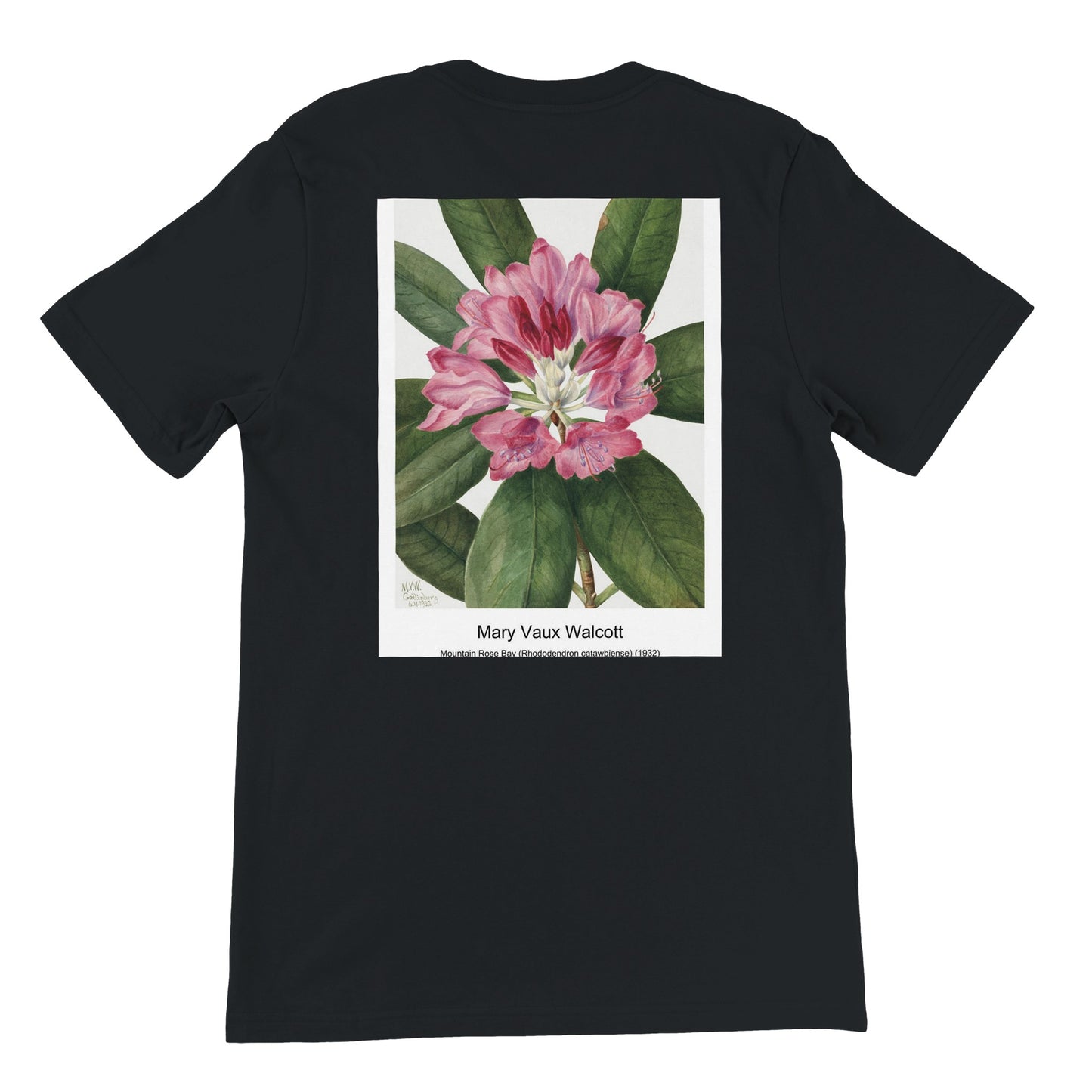 a940a17e-e6fd-4a31-ac05-c0da24327faa