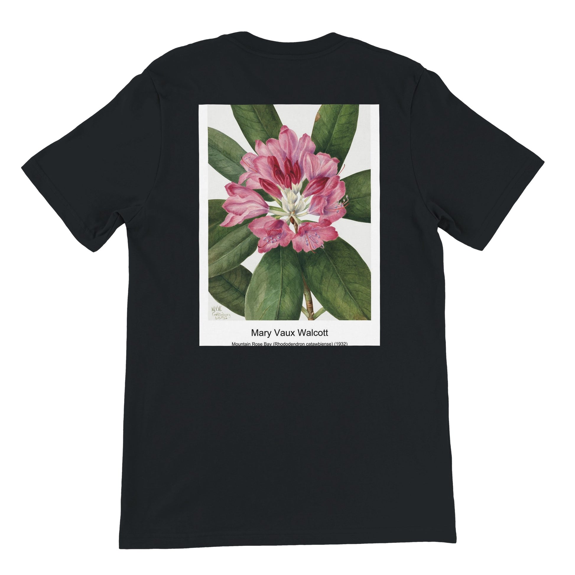 a940a17e-e6fd-4a31-ac05-c0da24327faa