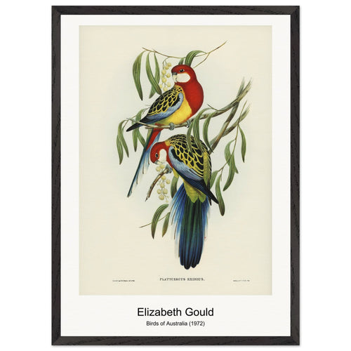 Forest life illustration (1893-1896) by Watanabe Seitei. Archival Print on Museum Quality Matte Paper. Premium Wood Framed Wall Art. Optimised Aspect Ratio.