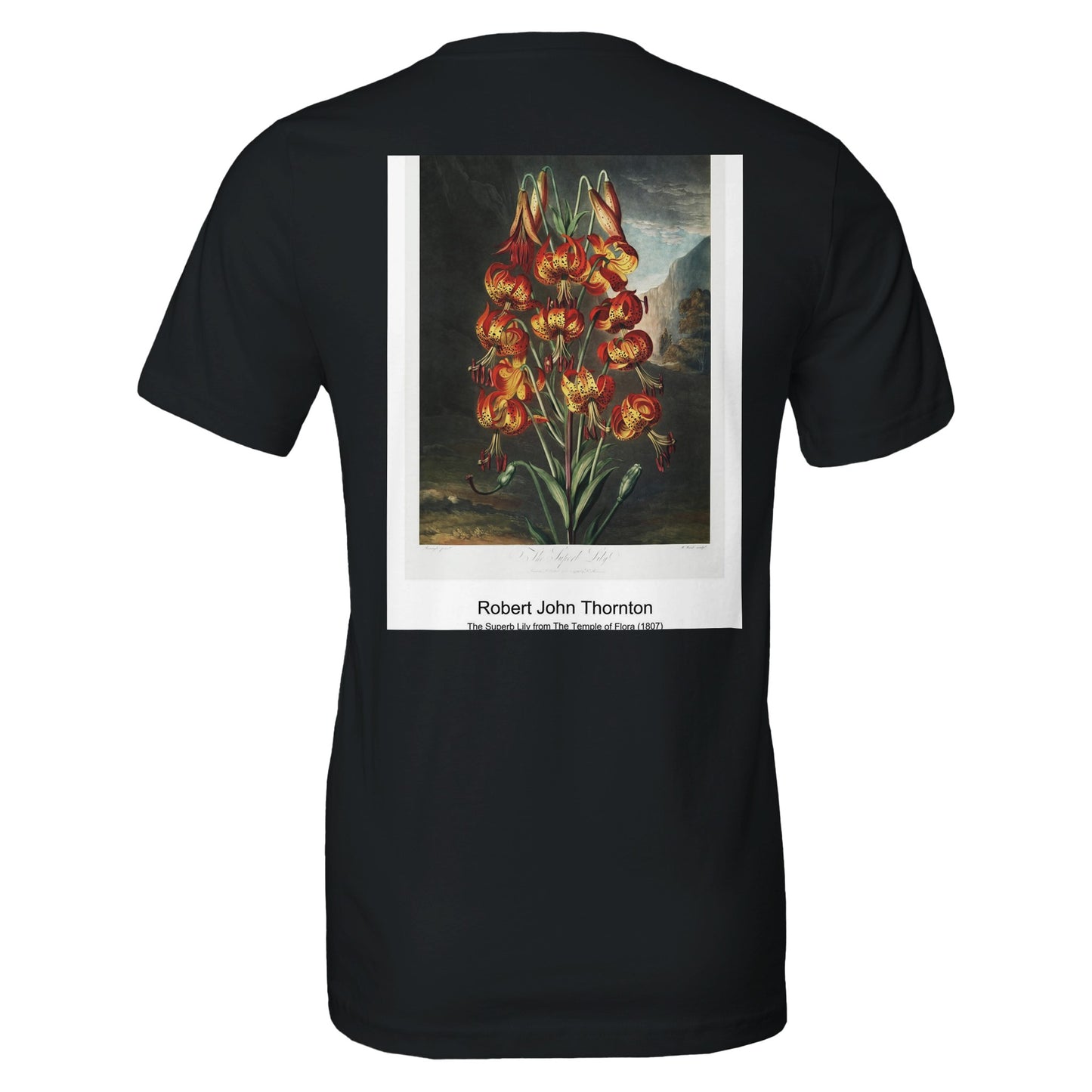 aa518e48-b835-44c9-8e0f-375d47e2adb8