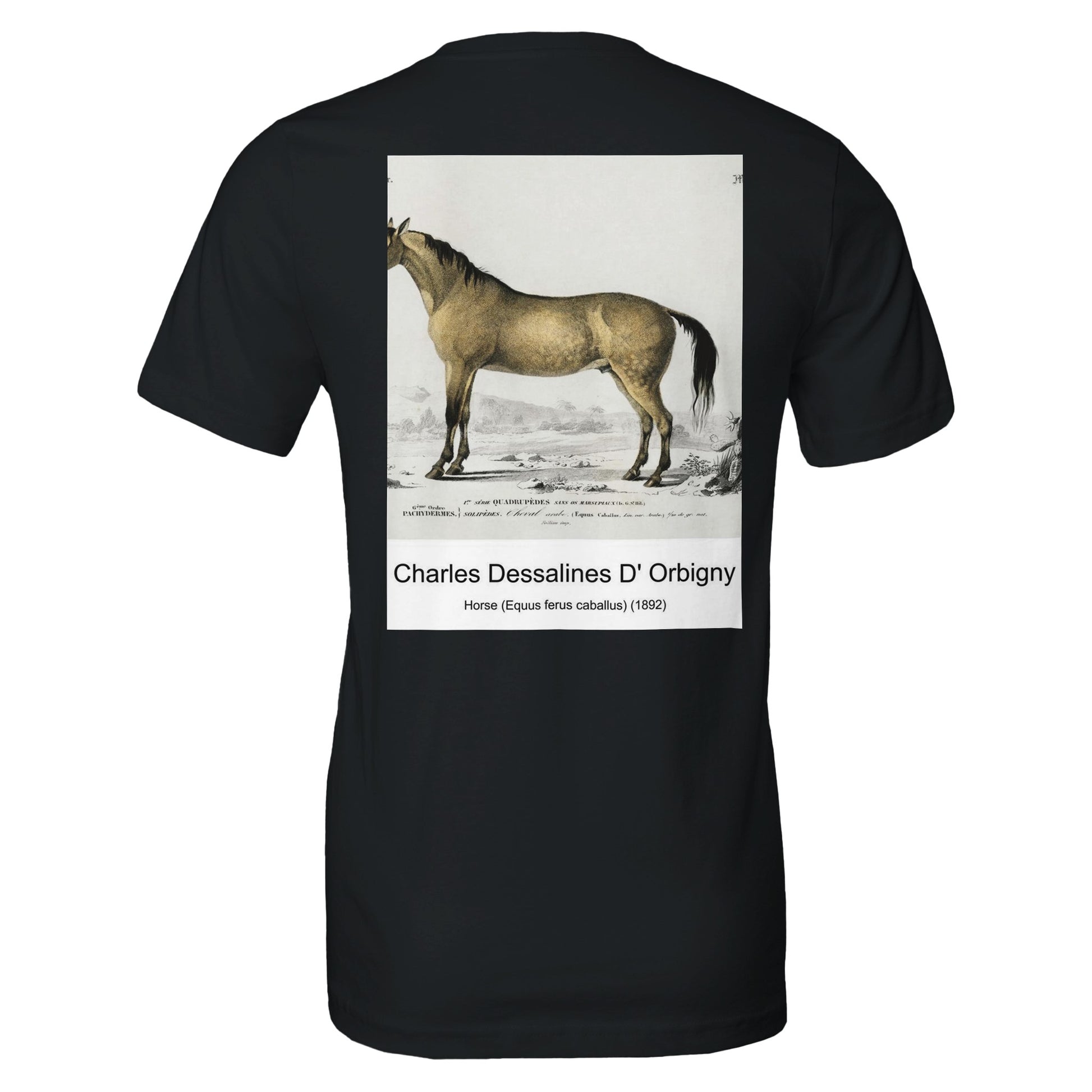 aa5fb6ba-75b7-41cf-913e-dc40a51ea1c5