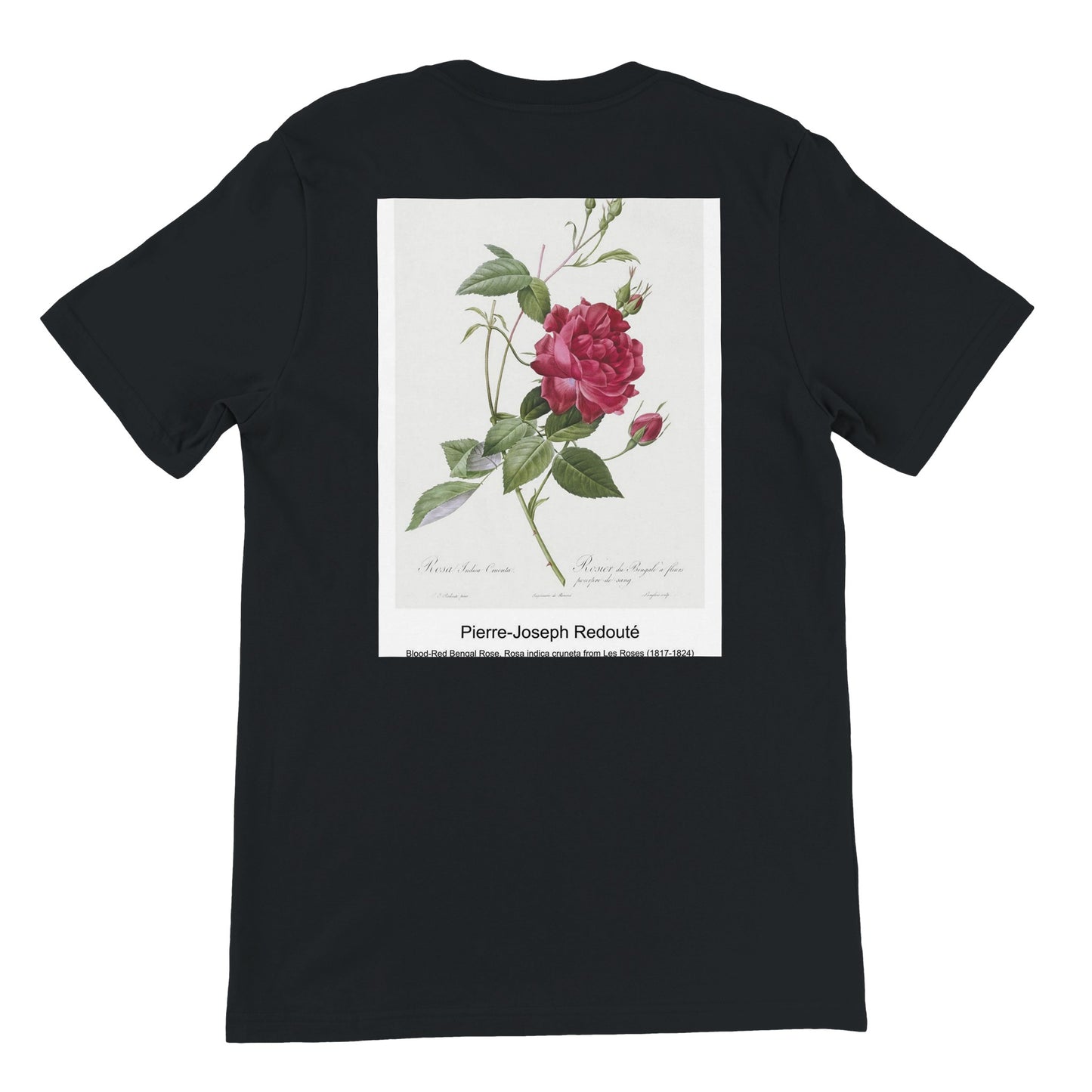 ab5abe71-691a-4c62-be65-16e0d6d77d61