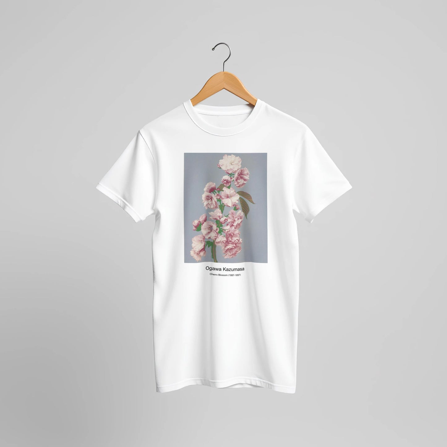 ababcf77-6099-4d82-a87f-c8c676ed7019