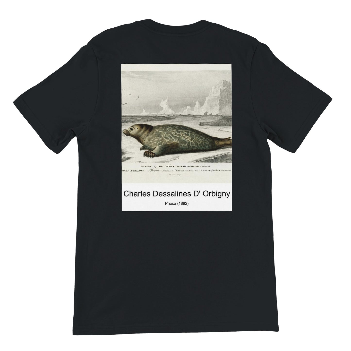 ac2244f5-ebe9-48e4-b6f0-f26e72728cdd