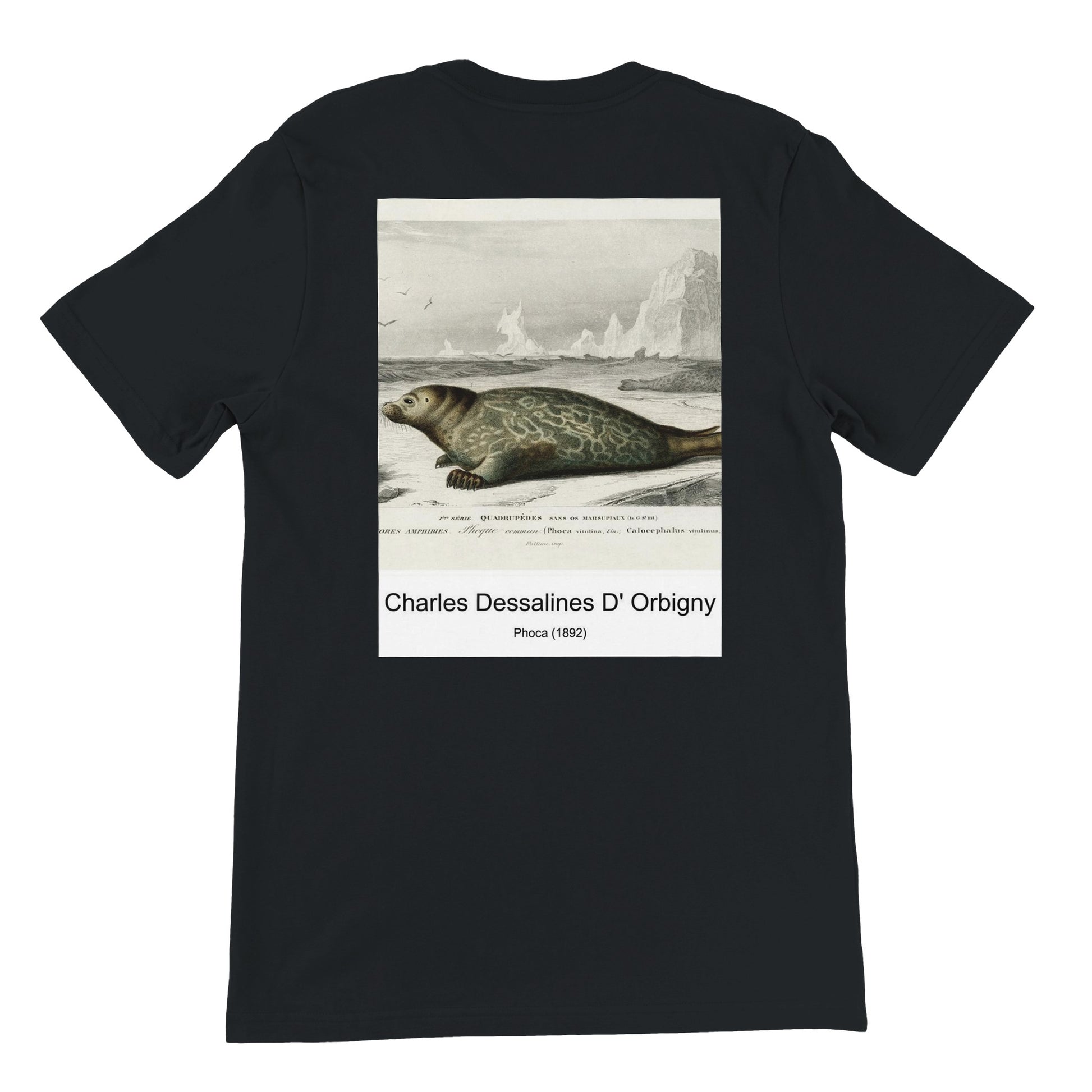 ac2244f5-ebe9-48e4-b6f0-f26e72728cdd