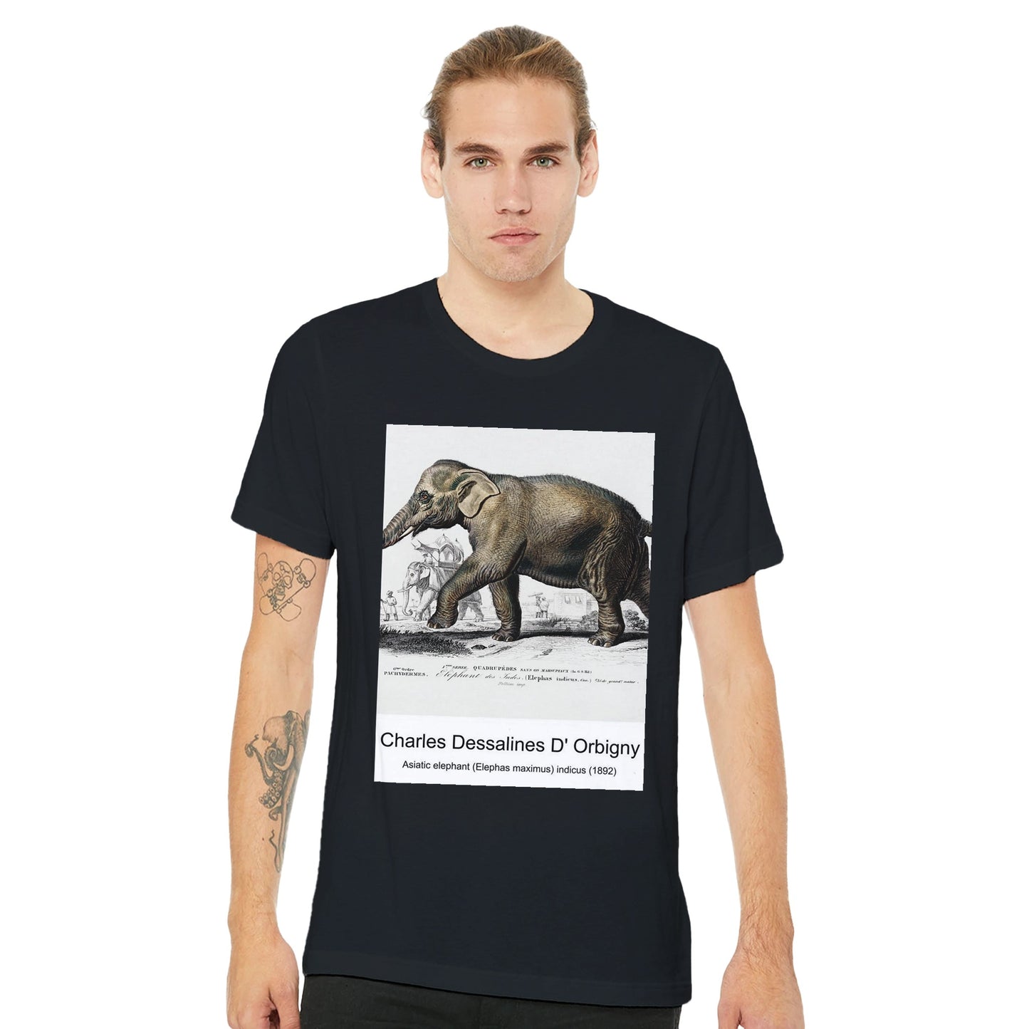 ac619d7e-c722-4cb9-9947-d6528a3dfeee