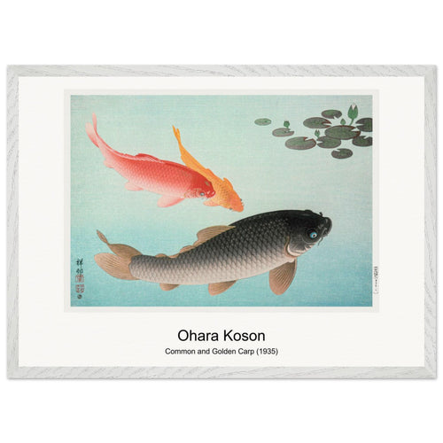 Common and Golden Carp (1935) by Ohara Koson. Archival Print on Museum Quality Matte Paper. Premium Wood Framed Wall Art. Original Aspect Ratio