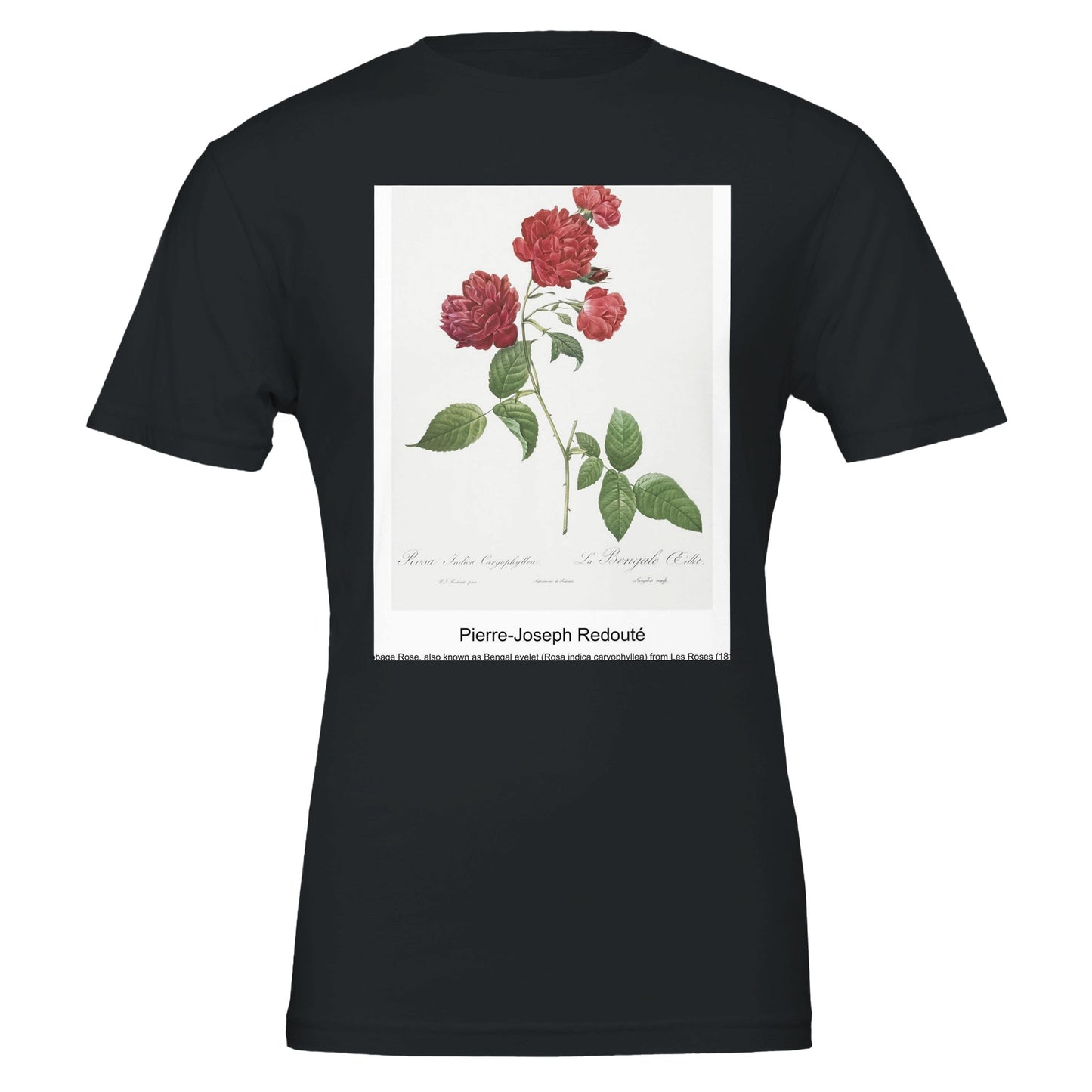 af10f9b3-a12e-4ed2-a40a-62048385c916