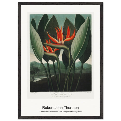 Variations Quatre-Vingt-Six Motifs Décoratifs En Vingt Planches (1928) by Édouard Bénédictus. Archival Print on Museum Quality Matte Paper. Premium Wood Framed Wall Art. Original Aspect Ratio