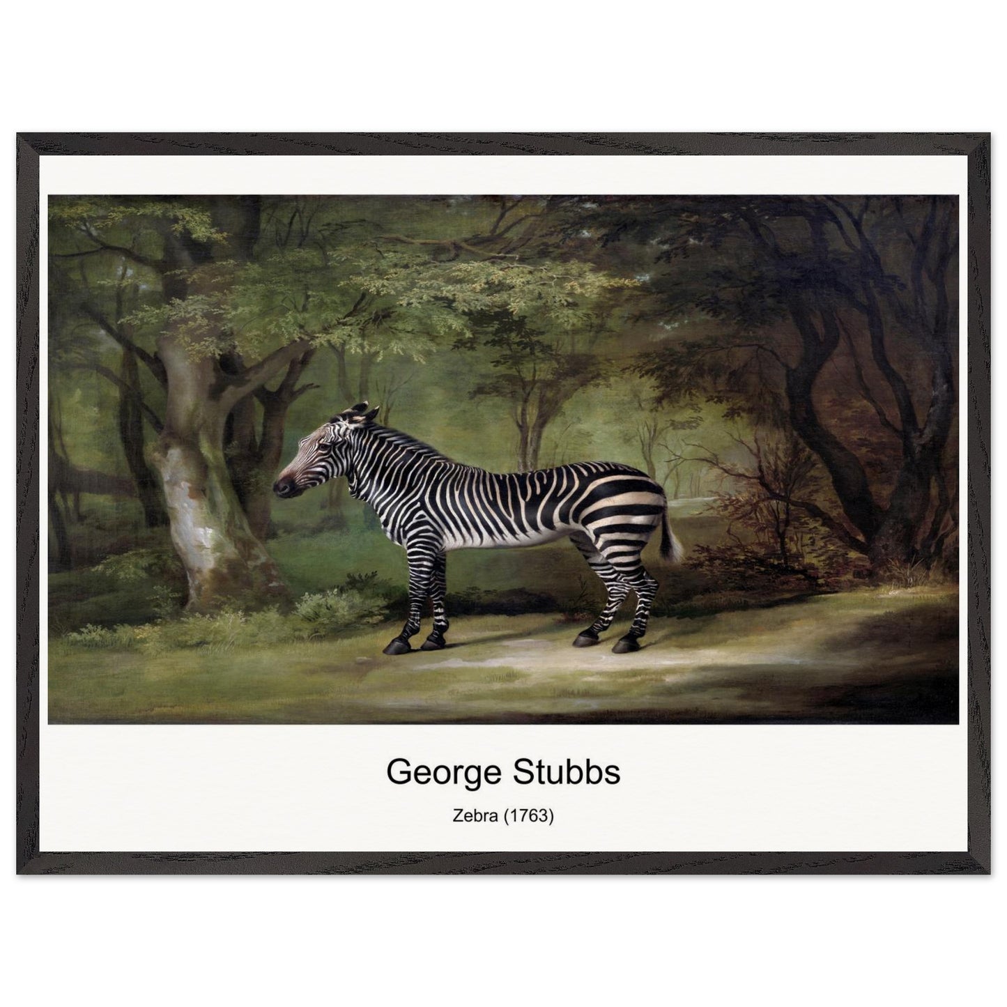 b0030e79-66b2-4abf-bfc5-914ca51fee9f