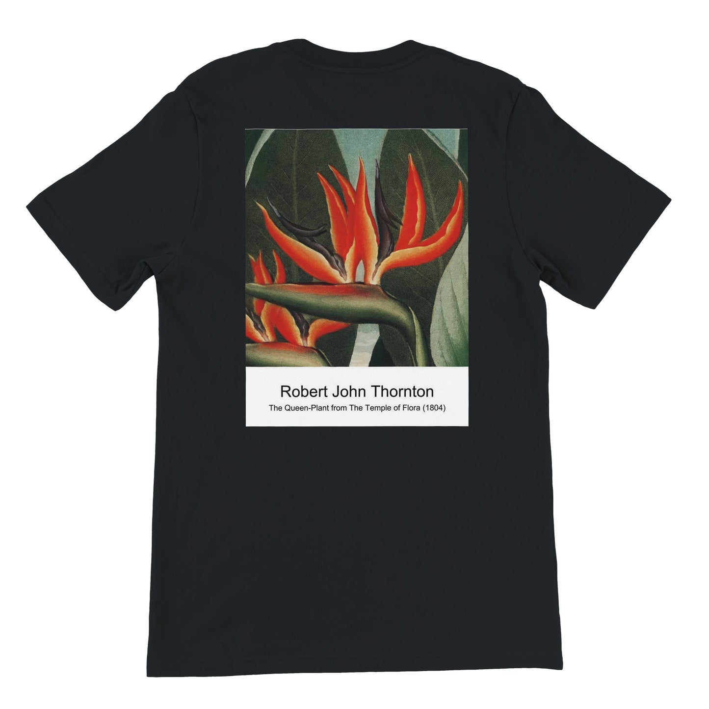 b0139eb5-352b-43af-9ae3-c078667d2e81