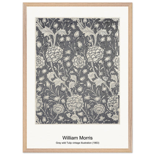 Gray wild Tulip vintage illustration (1863) by William Morris. Archival Print on Museum Quality Matte Paper. Premium Wood Framed Wall Art. Original Aspect Ratio