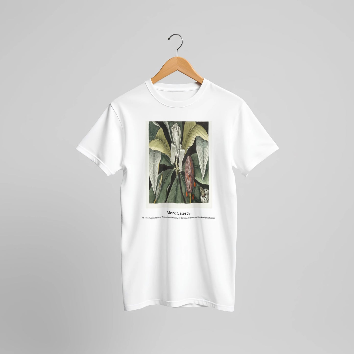 b061d81a-f5bc-49b8-b83c-f7f2ee7bfa55