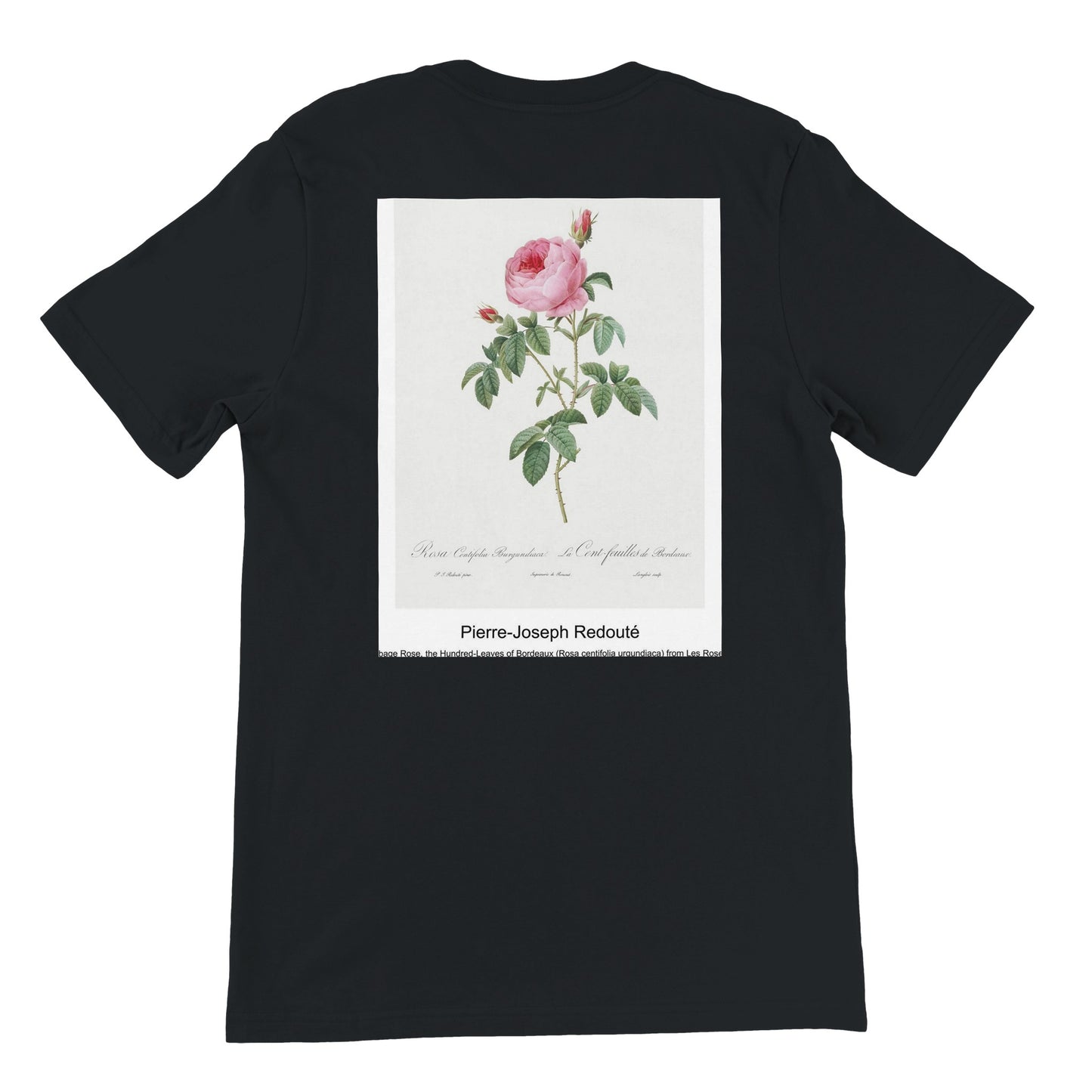 b071128a-f150-4ba9-aa93-75805aa4d2a7