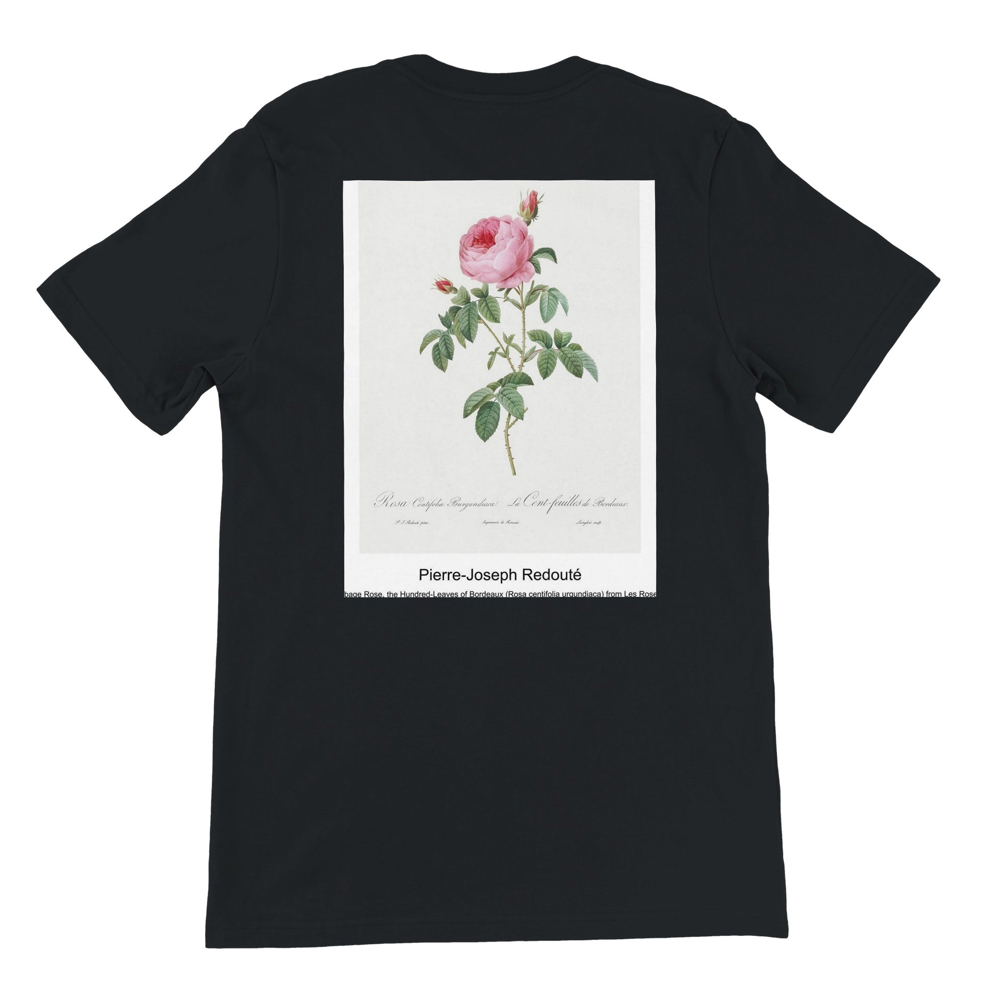 b071128a-f150-4ba9-aa93-75805aa4d2a7