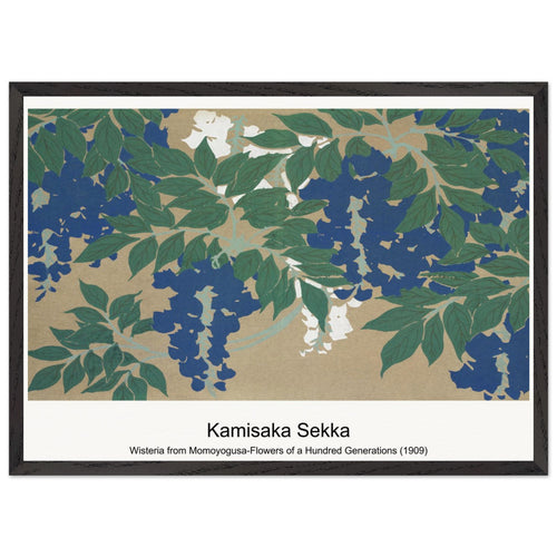 Wisteria from Momoyogusa-Flowers of a Hundred Generations (1909) by Kamisaka Sekka. Archival Print on Museum Quality Matte Paper. Premium Wood Framed Wall Art. Optimised Aspect Ratio.