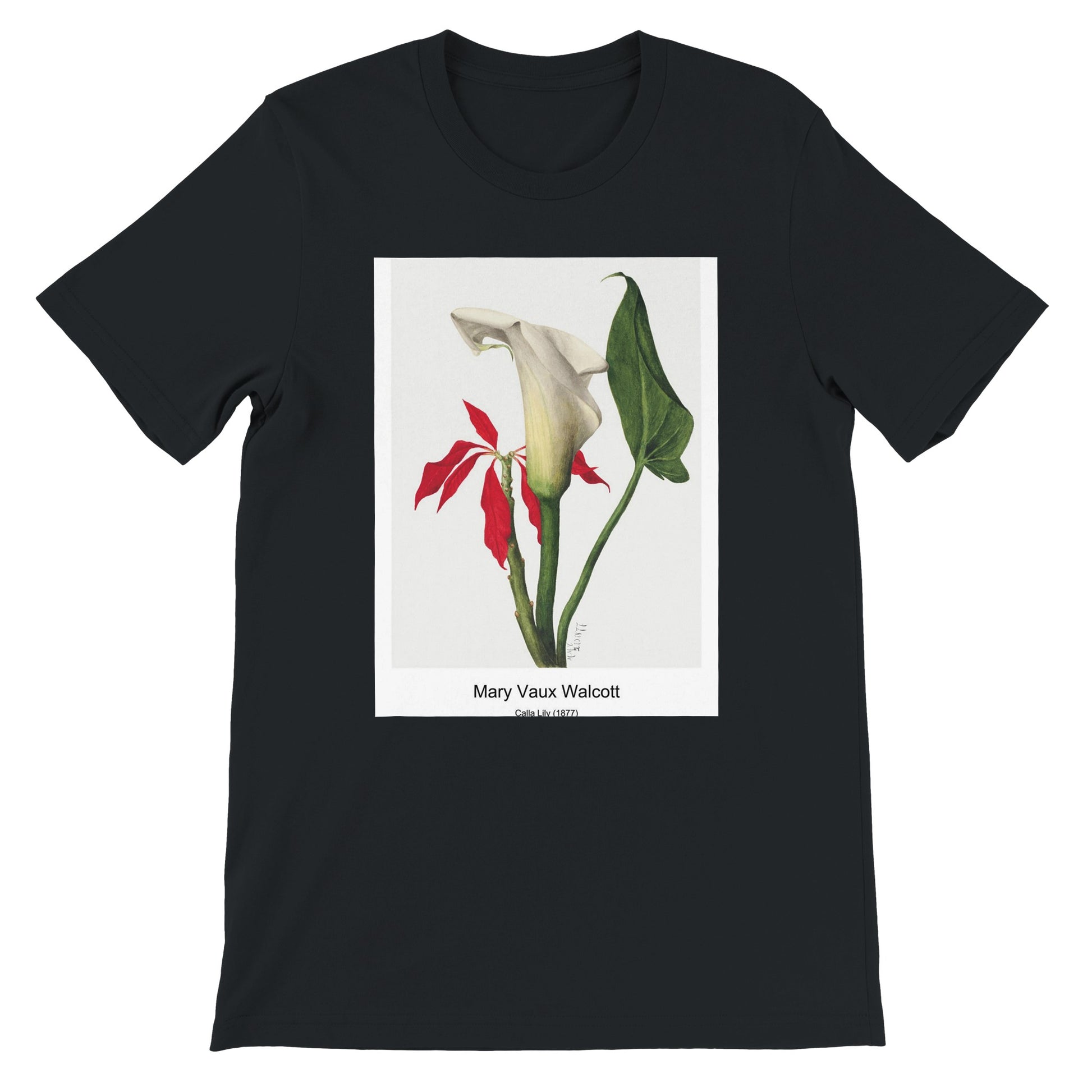 b0aa0818-a2f6-48c9-84c4-5c4350d0e56c