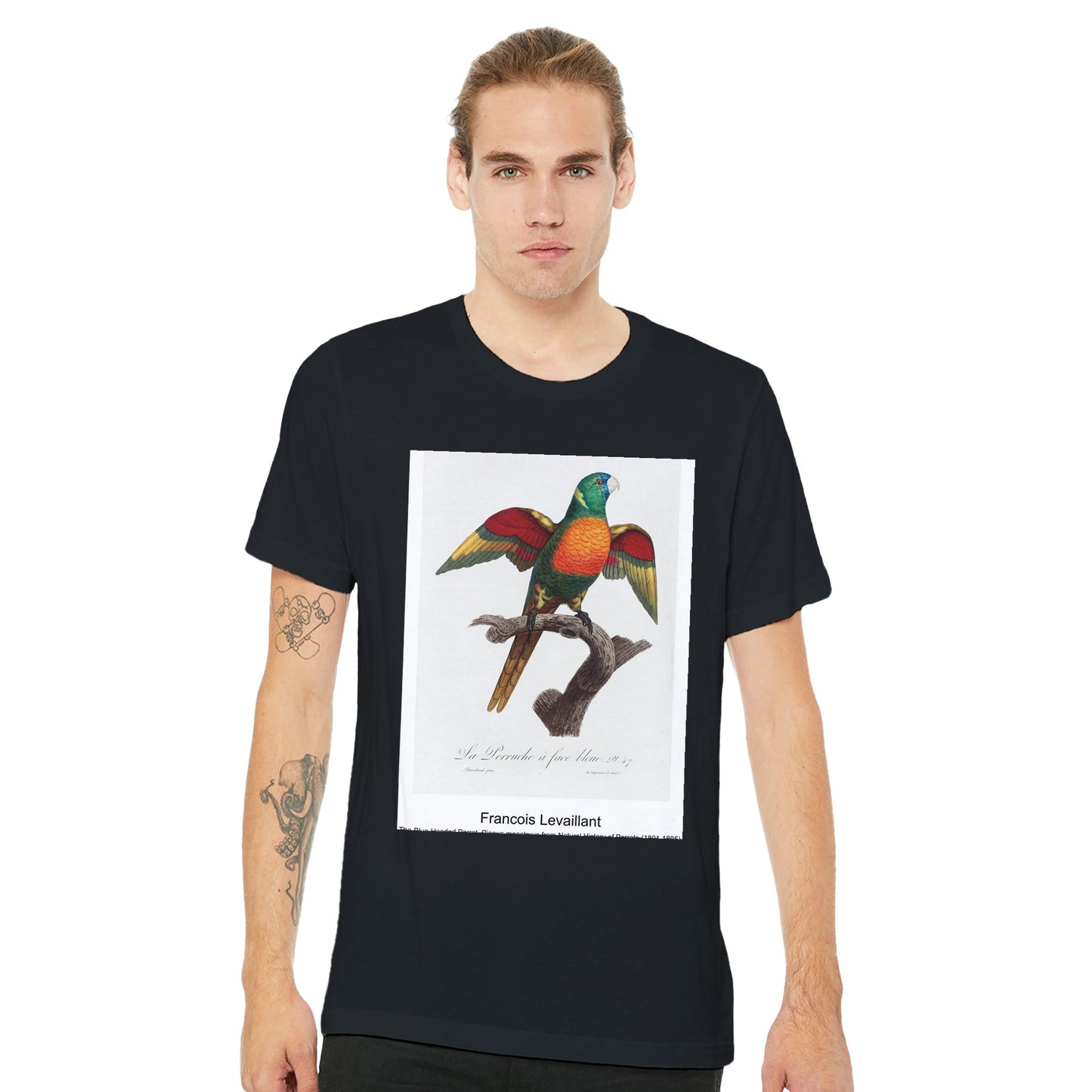 b1b78f1b-e5c1-4e40-aad8-fd7f65ff0364