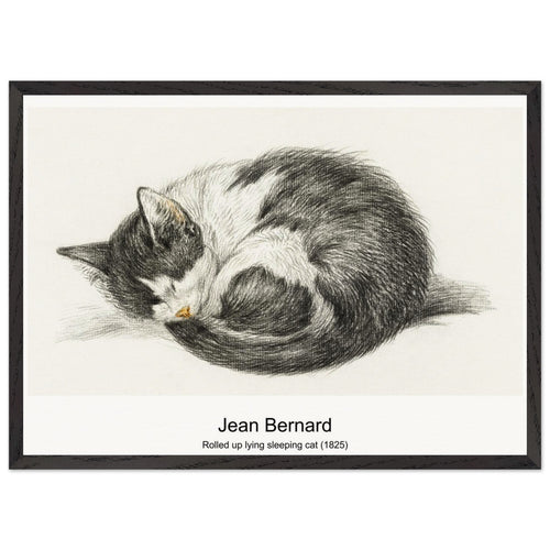 Rolled up lying sleeping cat (1825) by Jean Bernard. Archival Print on Museum Quality Matte Paper. Premium Wood Framed Wall Art. Optimised Aspect Ratio.