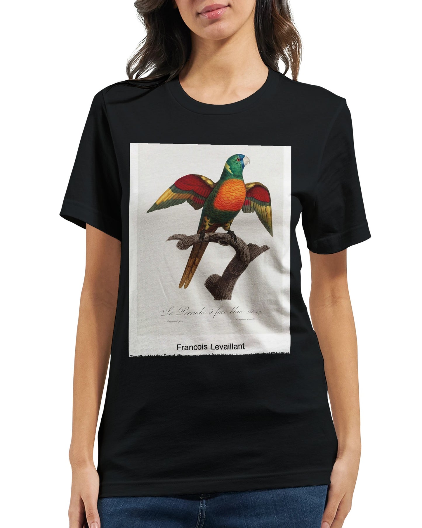 b28ca6fa-2fc2-4365-81f3-a2c91f751d97