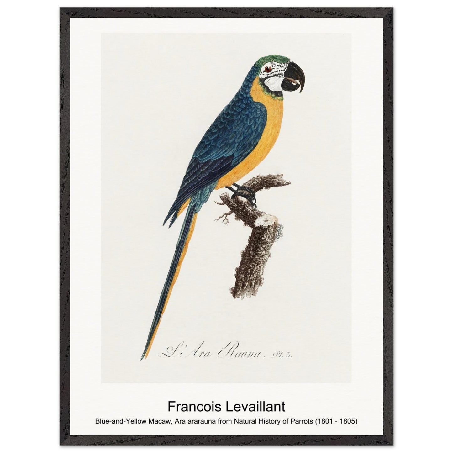 b29bd0d1-2a92-4f61-bf6e-586040c847b5