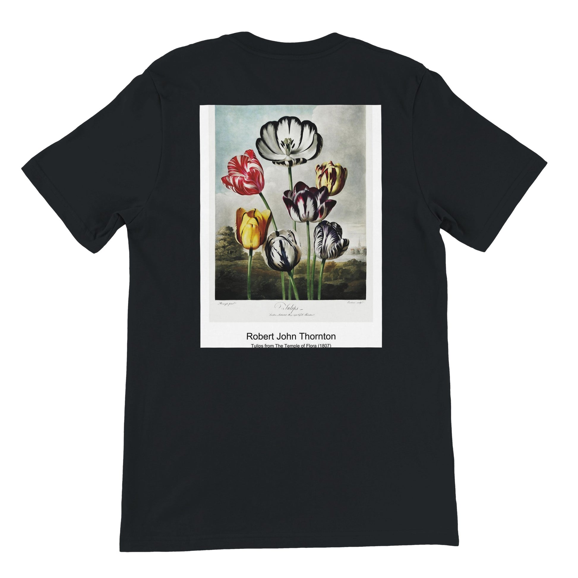 b2aa219a-3b8d-427a-beb3-2d926536416e