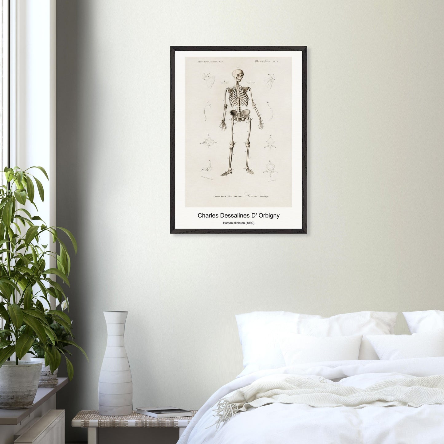 b31a3207-f932-447b-be3c-f03a2bee8df1